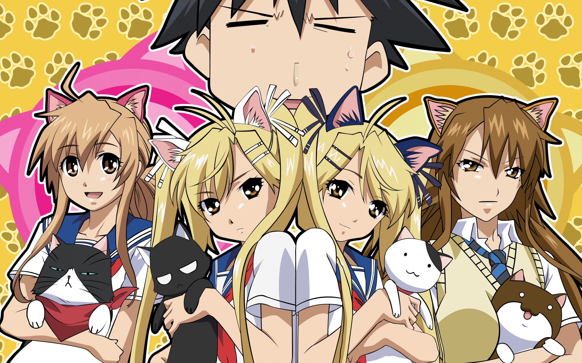 nyankoi รักน้องต้องมีเหมียว พากย์ไทย