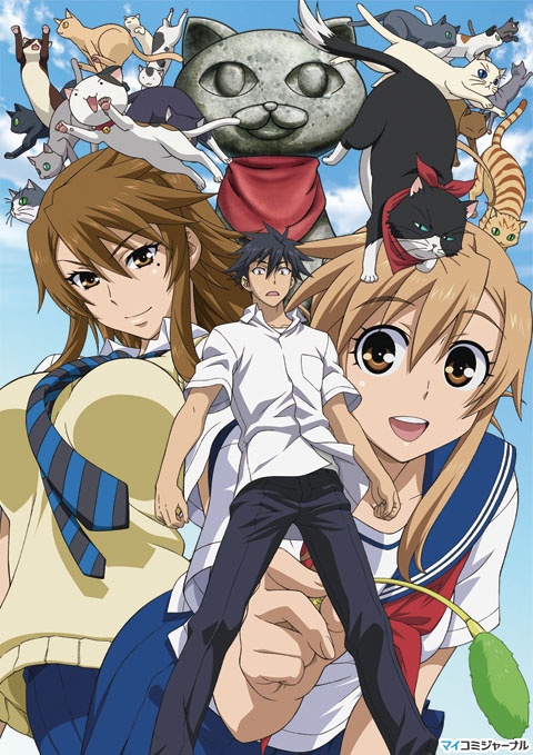 nyankoi รักน้องต้องมีเหมียว พากย์ไทย